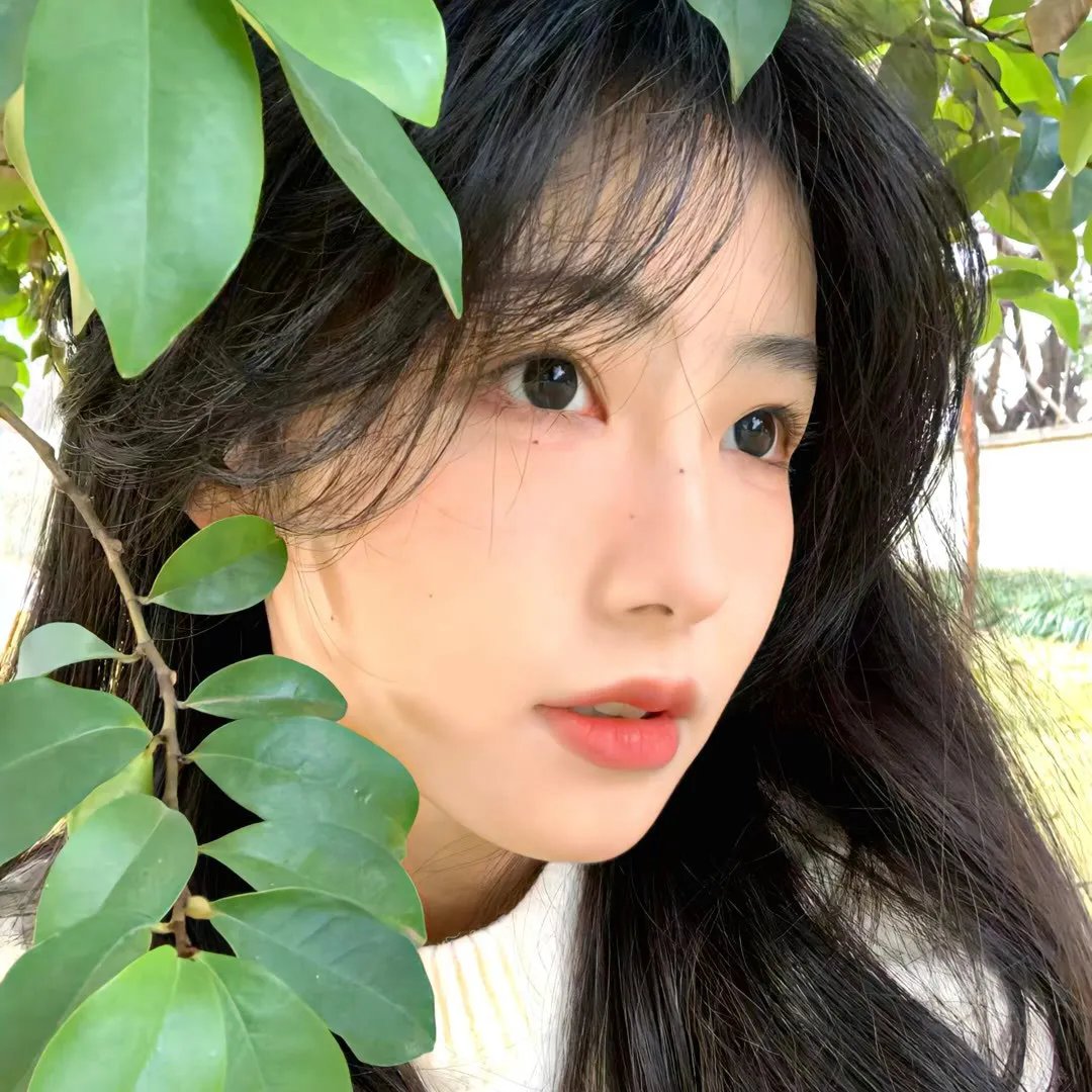 我的如意狼君粤语