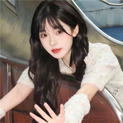 美人追